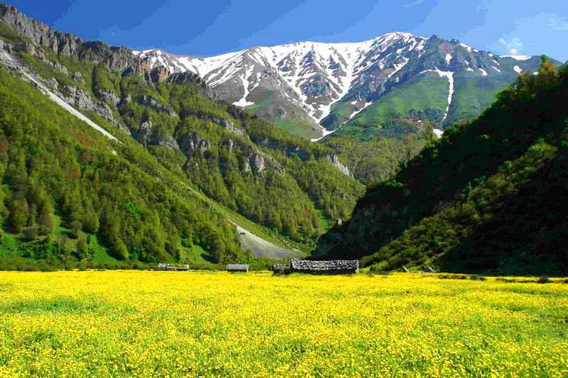 دوهزار شهسوار کجاست؟ | بهشت جنگلی مازندران