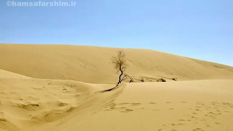 کشف جاذبه های گردشگری و آثار تاریخی استثنایی یزد